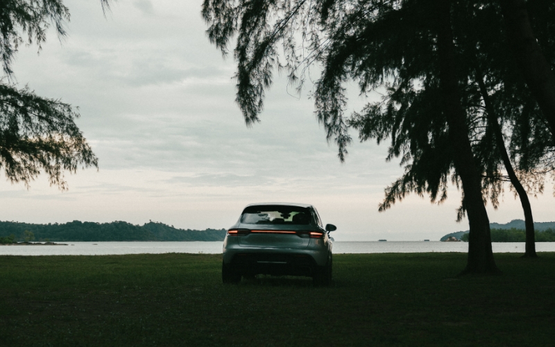 Grey car parked under a tree