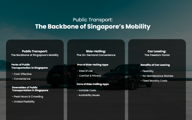 Public Transport The Backbone of Singapore’s Mobility